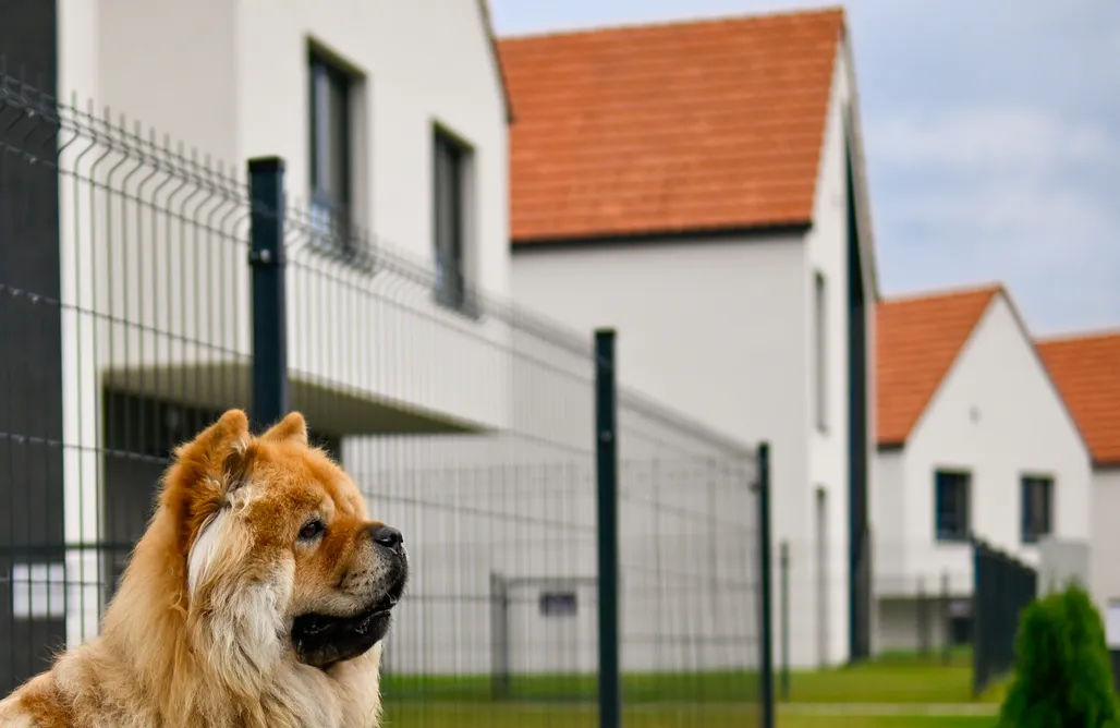 noclegi AlohaCamp Moje Miejsce Polanica - Zdrój 4