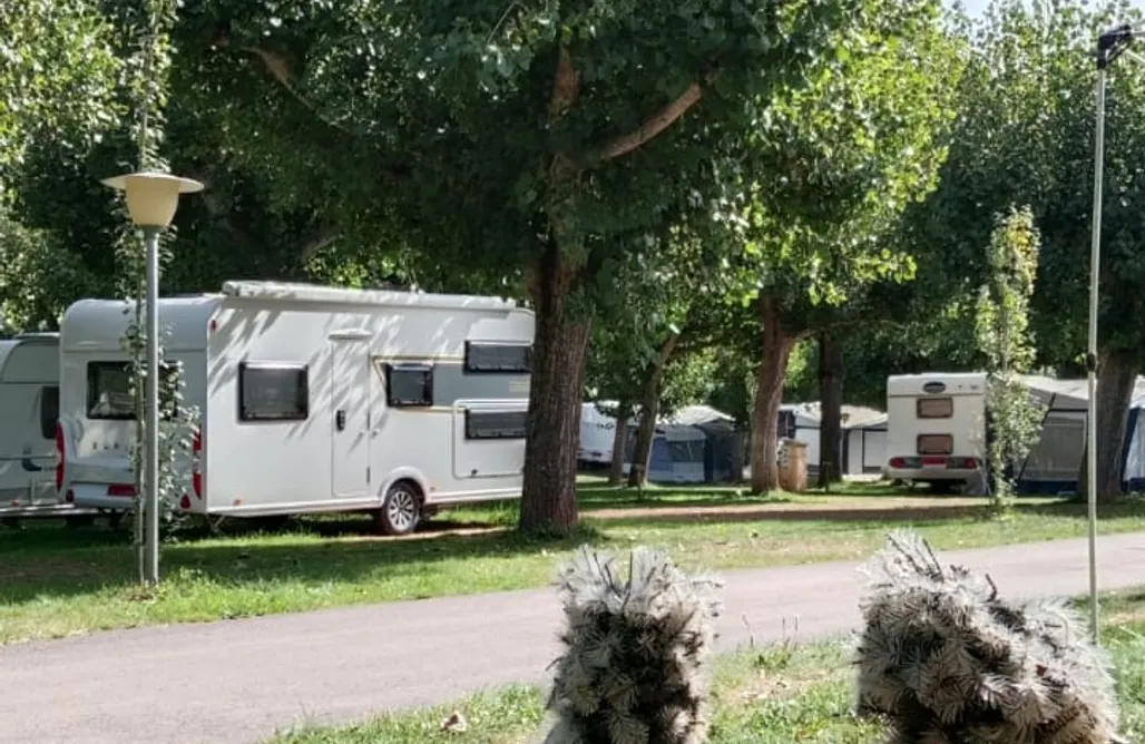 Cabaña En El Árbol Camping Laspaúles: bungalows y acampada en el Pirineo aragonés 1