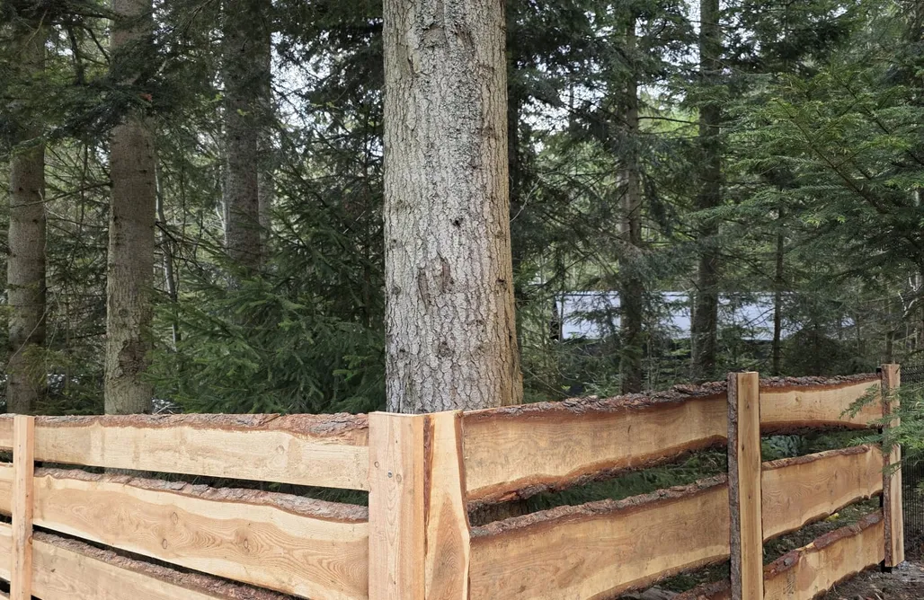 alojamientos AlohaCamp Tiny House w Lesie 1