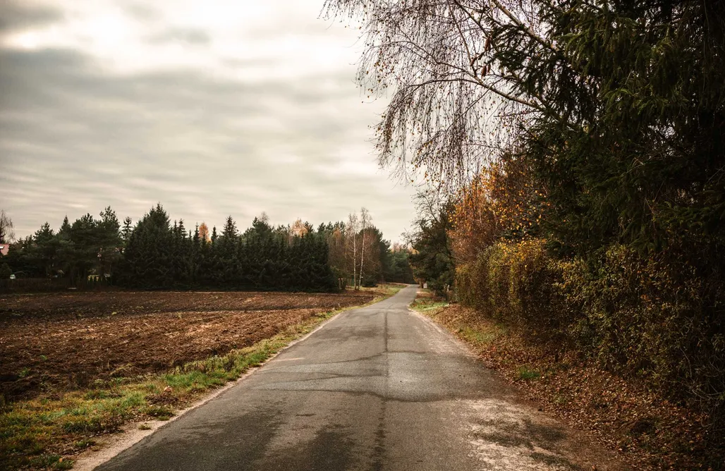 ubytovanie AlohaCamp Rajsco – domek z teleskopem nad Jeziorem Budzisławskim 1