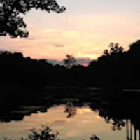 Apolonia użytkownik