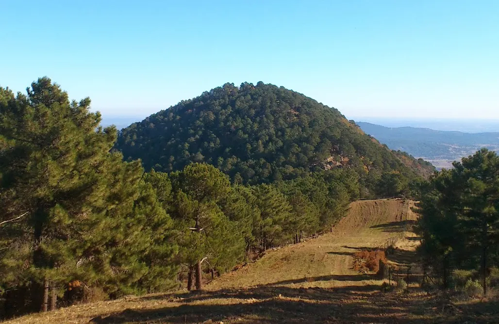 AlohaCamp accommodation NidoGredos, Cabañas Ecológicas de Diseño 1