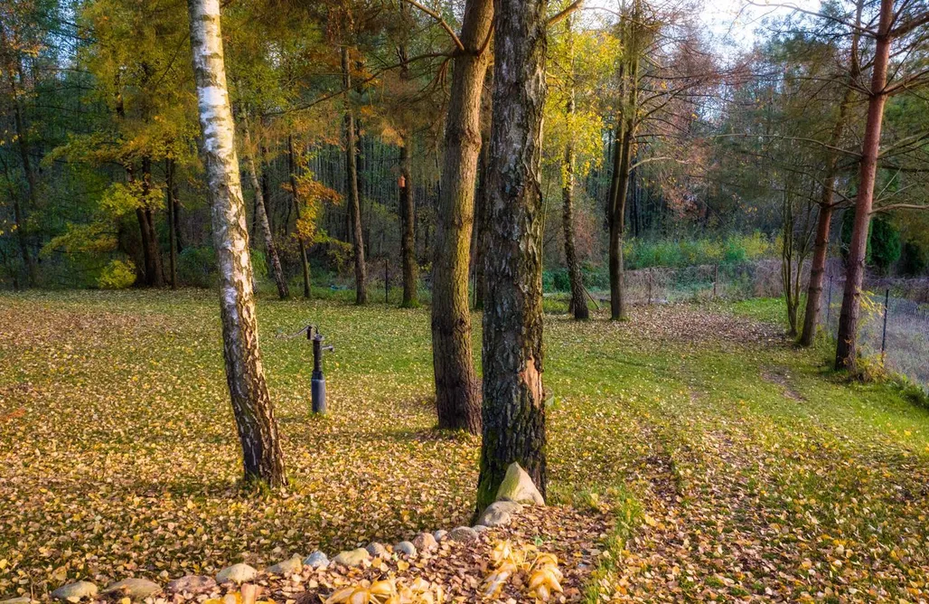 noclegi AlohaCamp Dom nad jeziorem Zarybinek - Rybno 1