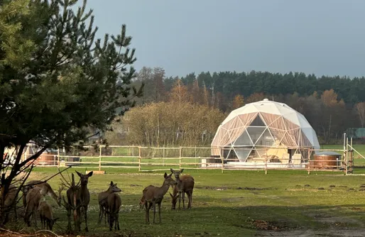 Zdjęcie obiektu Ranczo Targówka - Glampy