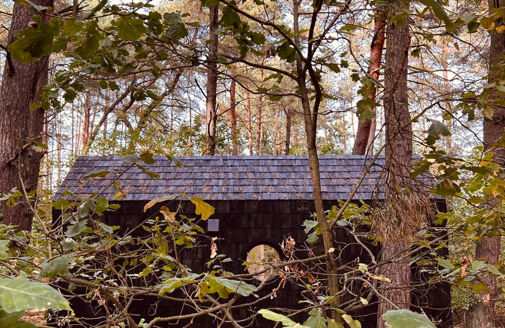 AlohaCamp UKOI Mikrokino w lesie - Tiny House z prywatnym kinem - Kręgi k. Wyszkowa 1