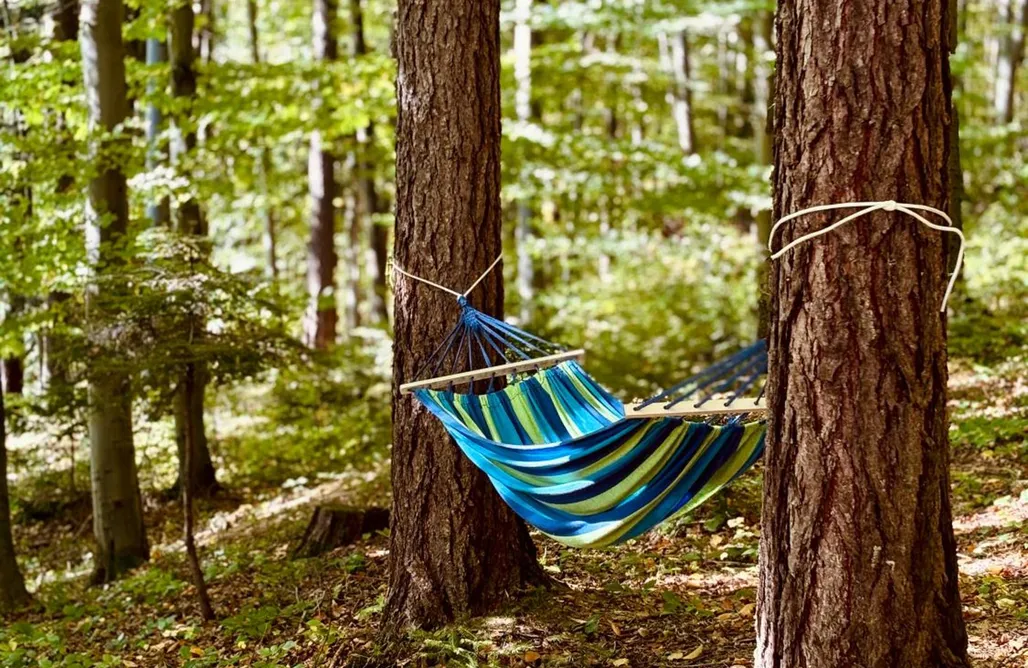 noclegi AlohaCamp LaVerde - Blisko Przyrody Daleko od Tłumu 4
