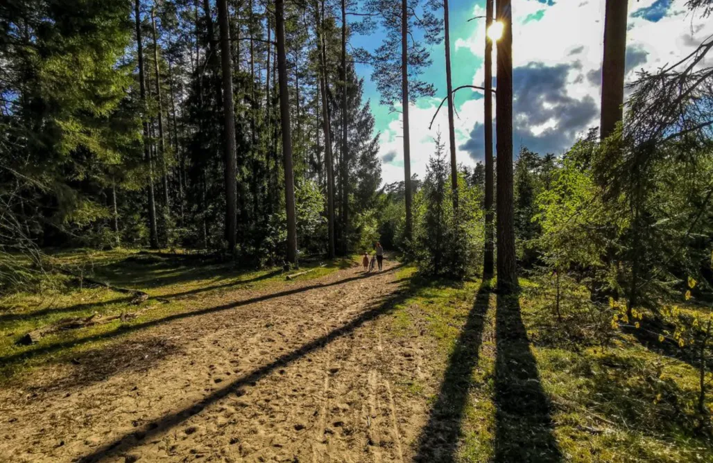 Tanie Domki Na Mazurach Zapach Drewna 1