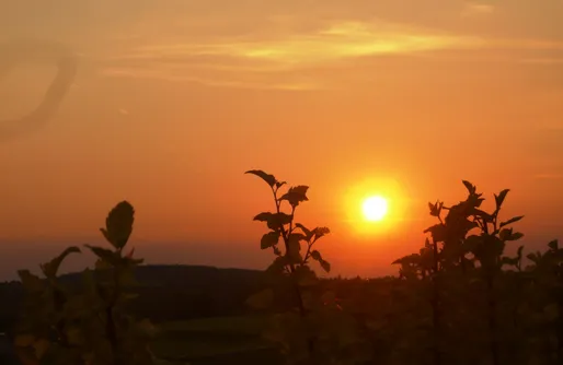 Zdjęcie obiektu Miejsce kamperowe i namiotowe - Winnica Dosłońce