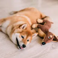 Sebastian użytkownik