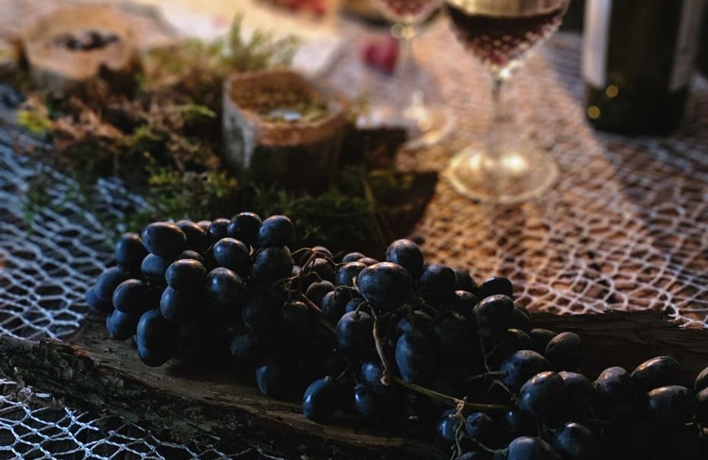 AlohaCamp Czerwona Stodoła przez cały rok 1