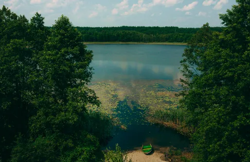 Zdjęcie obiektu Siedlisko Rogówko: Dom Drwala 