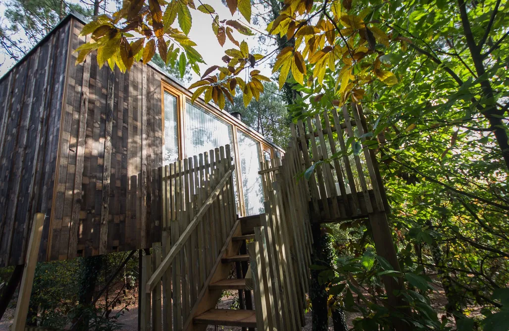 alojamientos AlohaCamp Cabañitas del Bosque  5