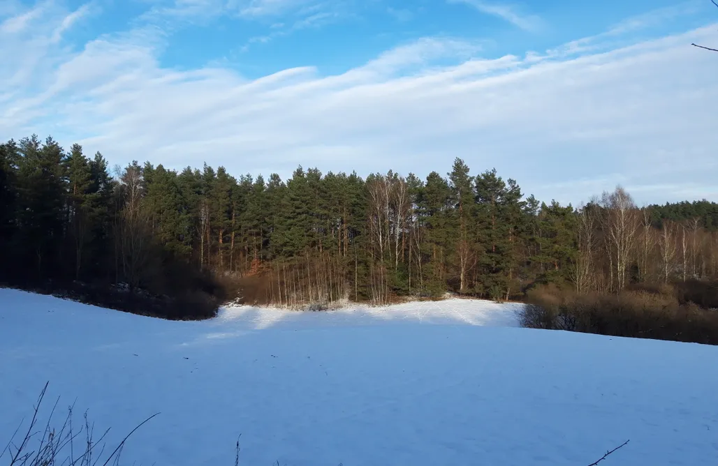 noclegi AlohaCamp Uliwersal 5