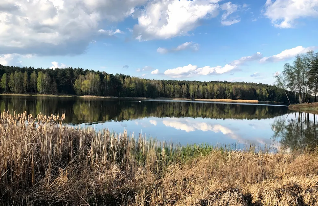 Stodoła na wypasie AlohaCamp