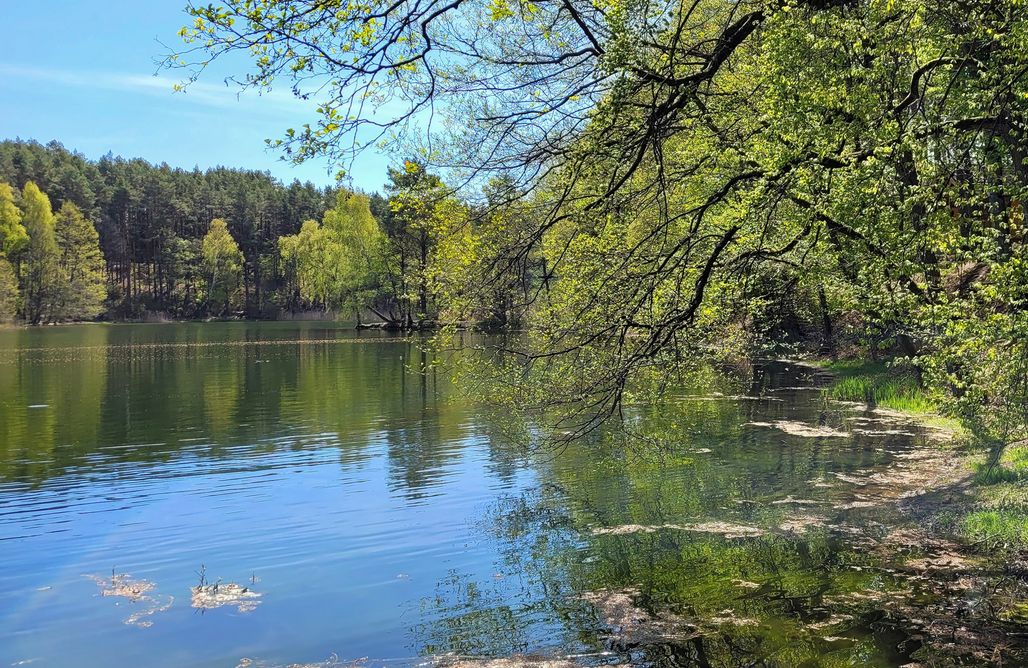 noclegi AlohaCamp Miejsce kamperowe i namiotowe - Półwysep Lipa 5