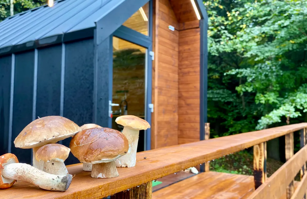 noclegi AlohaCamp Leśna Osada - Spa&Wellness 1