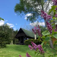 Maciej host Domek pod Lasem