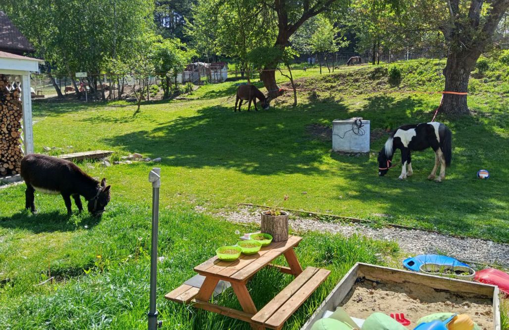 Alloggio AlohaCamp Dolina Jamcito 1