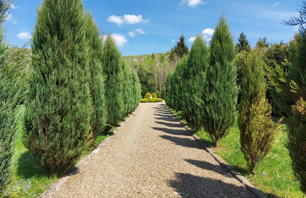 noclegi AlohaCamp Bieszczadzki Dworek 5