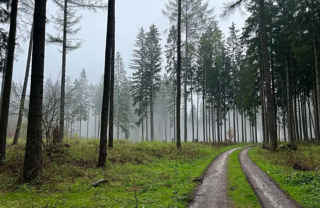 noclegi AlohaCamp Dworek Żabickie 1