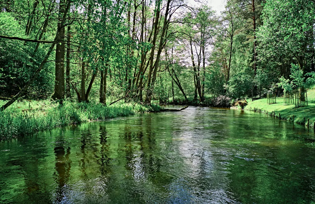 AlohaCamp Pokój Superior 1