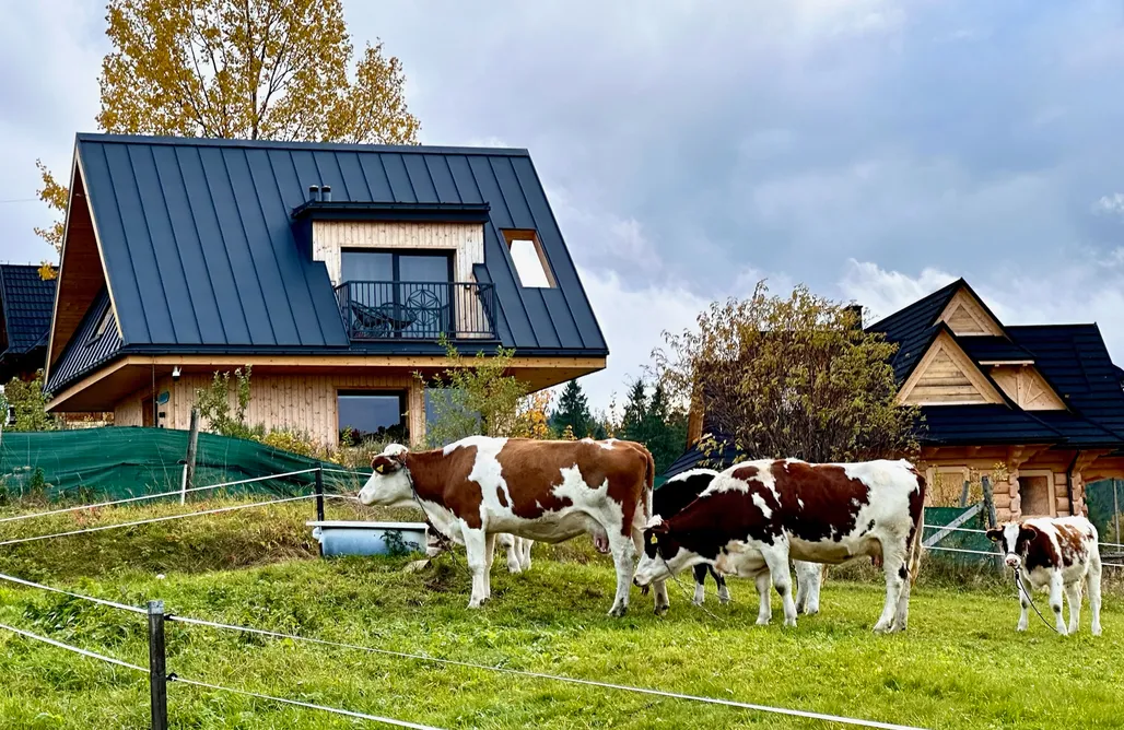 Unterkunft AlohaCamp Domek Tatry Stacja Wierchowa 972 m 5