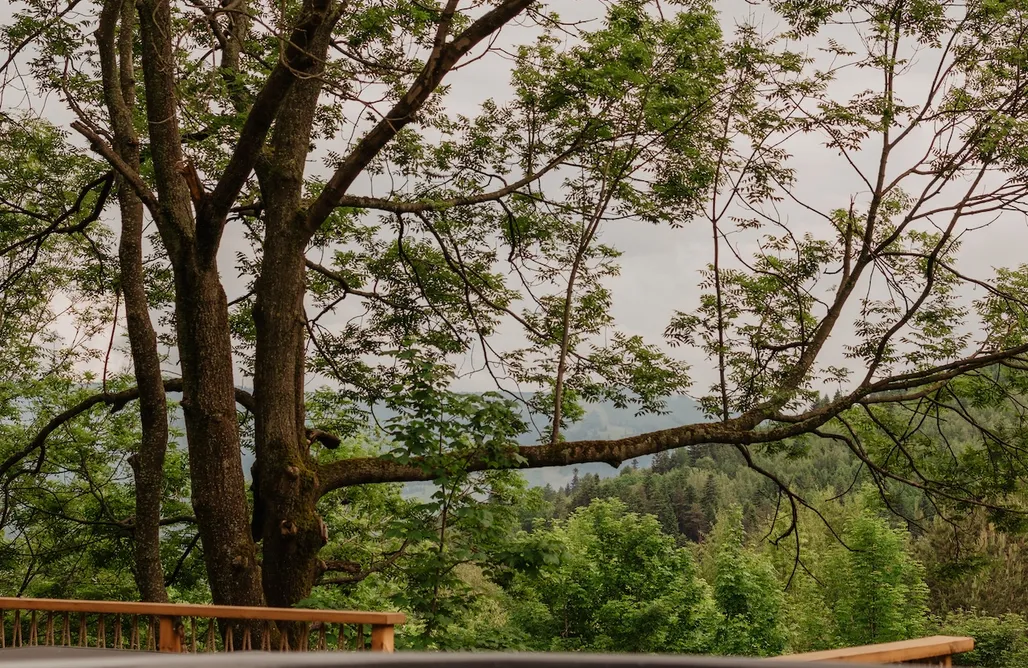 hebergement AlohaCamp Gawlicówka  1