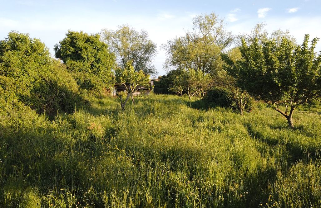 AlohaCamp accommodation MolinoLab - Arte, Naturaleza y Tecnología 3