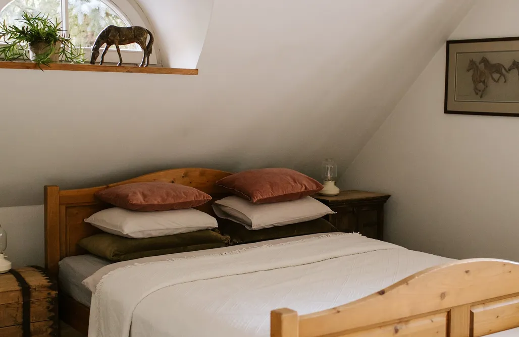 AlohaCamp Ptasie Szepty 2