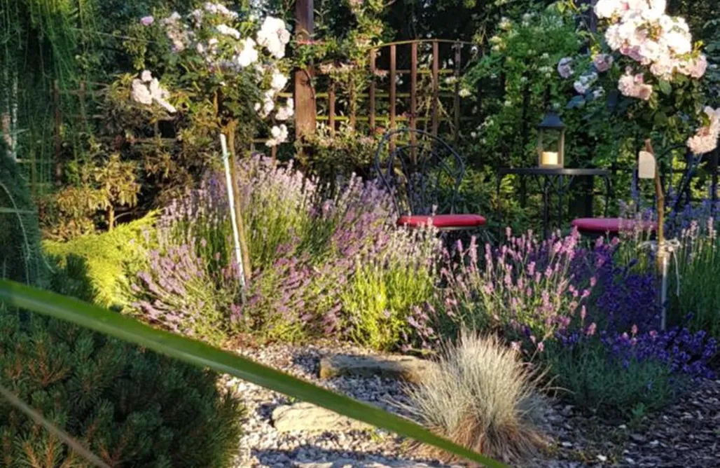 noclegi AlohaCamp Stara Stajnia - Azyl tylko dla Dorosłych 1