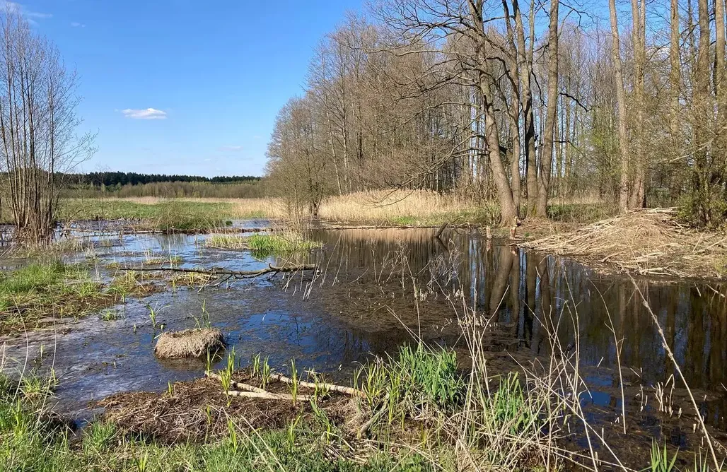 AlohaCamp accommodation Chata Liska 1