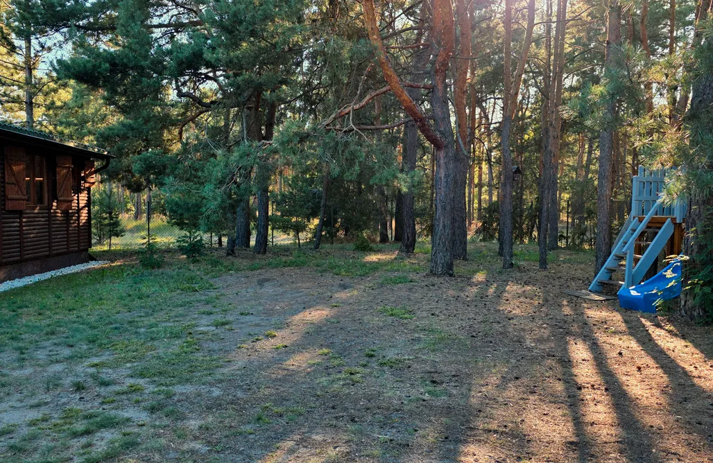Czilówka. Entspannung am Waldrand. AlohaCamp