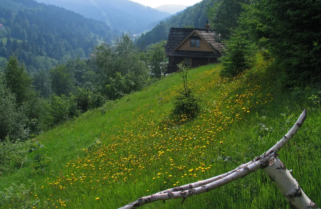 AlohaCamp Tarnasówka w Szczyrku 1