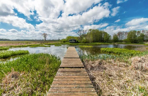 Zdjęcie obiektu Domki Sielanka