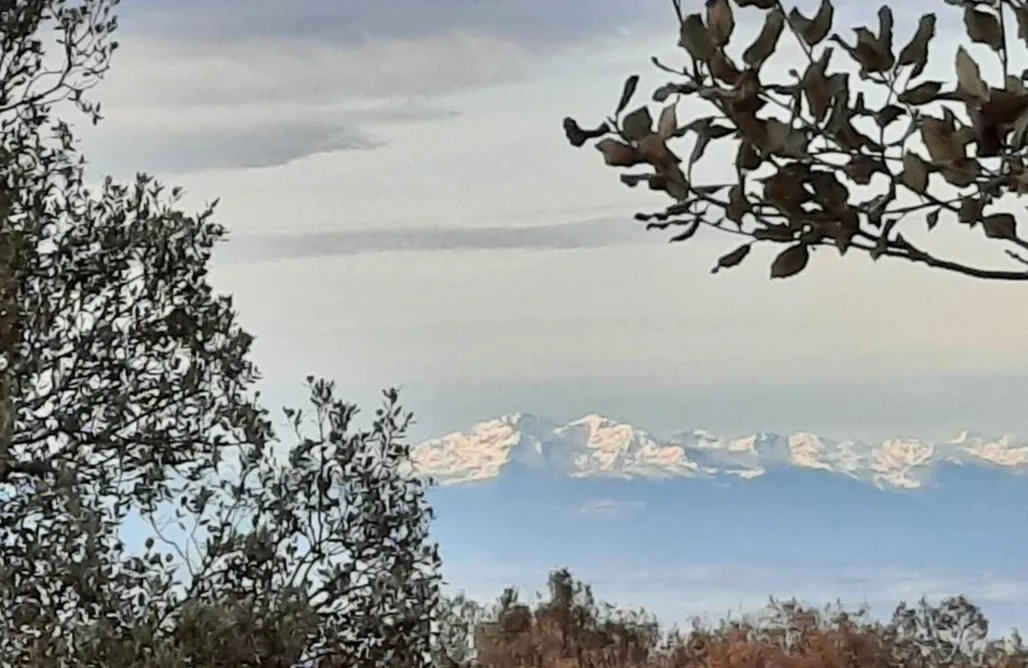 Hébergement AlohaCamp Le lodge des chênes 5
