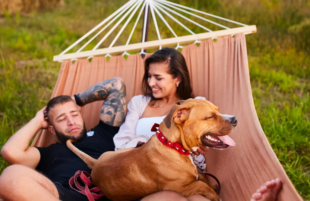 Bosco glamping AlohaCamp