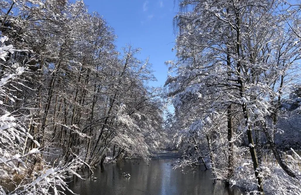 Zielona Góra Moja Stay - wyjątkowy domek z sauną 1