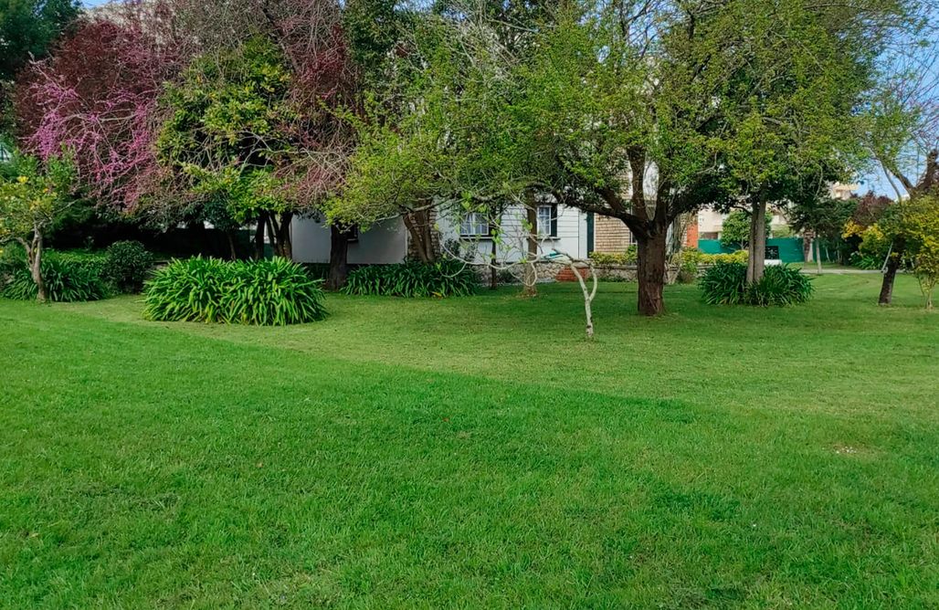 Alloggi AlohaCamp Casa La Choza 1