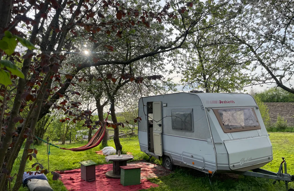 AlohaCamp Przyczepka kempingowa 2 os. w sadzie 2