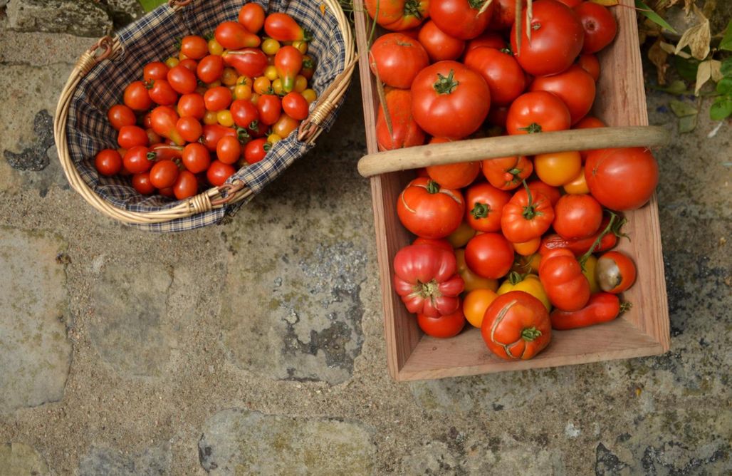 AlohaCamp Chambre n°2 1