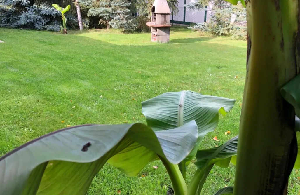 Unterkunft AlohaCamp Stettiner Haff Nebengebäude 4