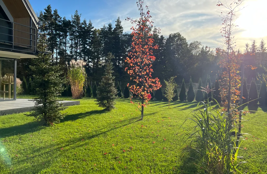 AlohaCamp accommodation Silent Hill House  1