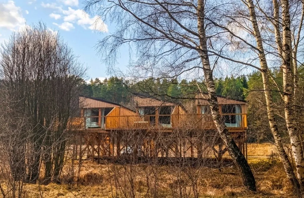 Domek na Drzewie Warszawa Domki na drzewie - Kołobrzeg - Sauna - PolanaGlamp 1