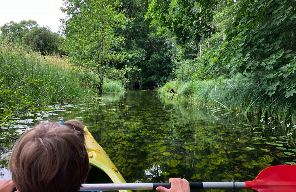 AlohaCamp Kamper, przyczepa kempingowa 1