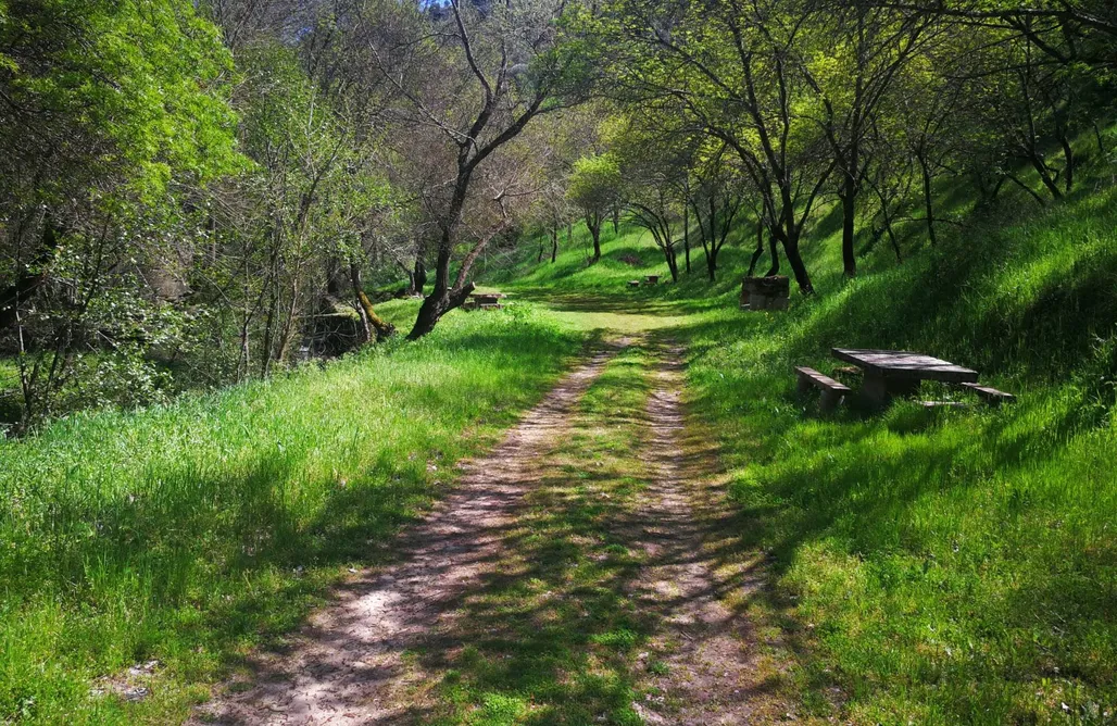 AlohaCamp Mirador de Béjar 1