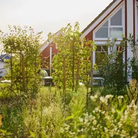 Jens host Mein rotes Haus