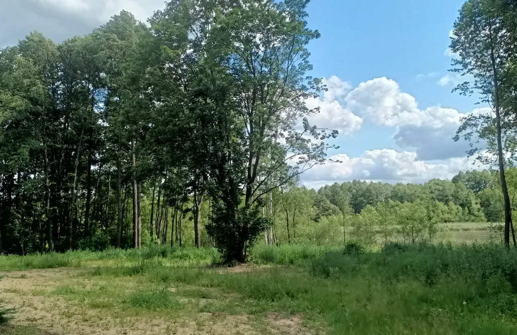 Pole Namiotowe Zakopane Miejsce kamperowe - Klonowa Przystań  3