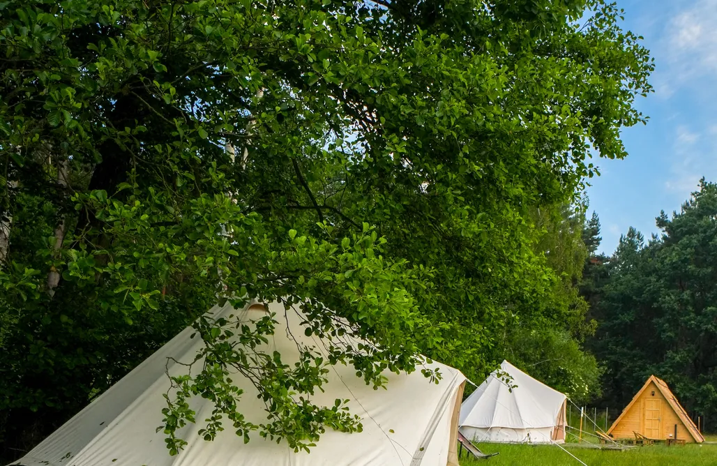 Unterkunft AlohaCamp Namiot glampingowy - Młynek Tuszyn 4