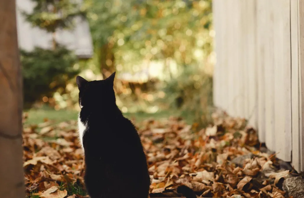 AlohaCamp Apartament Pastelowy 1