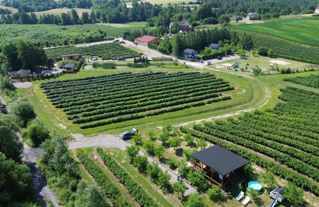 noclegi AlohaCamp Toskańskie Wzgórze Cisówka 3